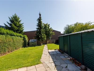 Picture 24